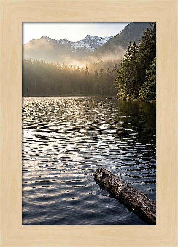 Peaceful Ripples Over Water