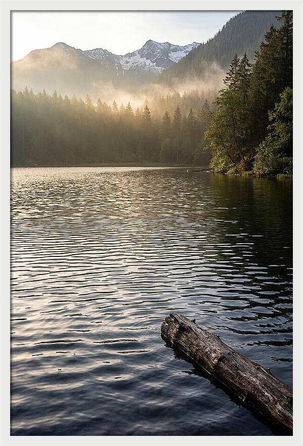 Peaceful Ripples Over Water