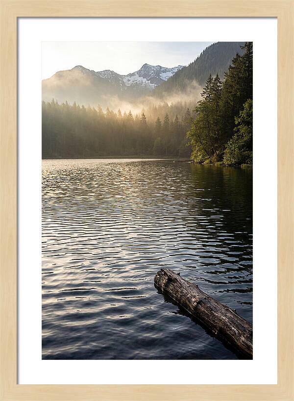 Peaceful Ripples Over Water