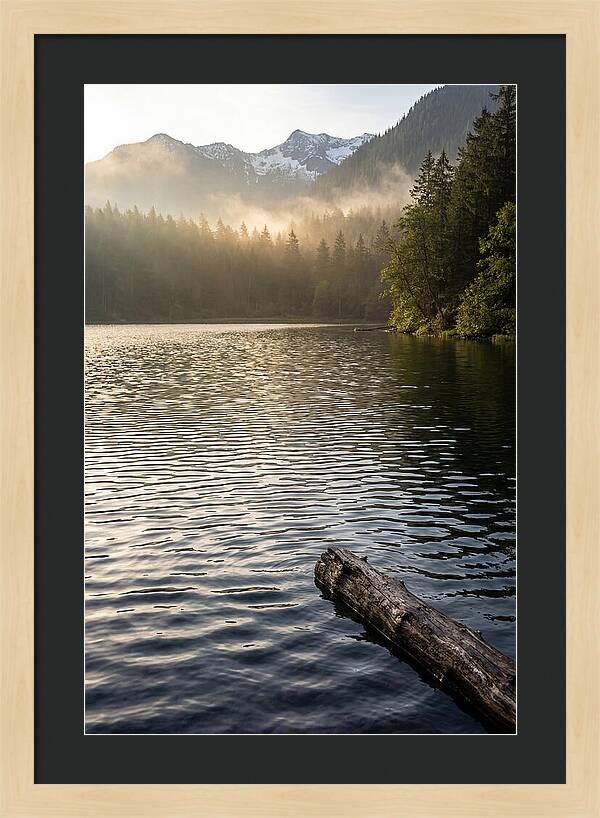Peaceful Ripples Over Water