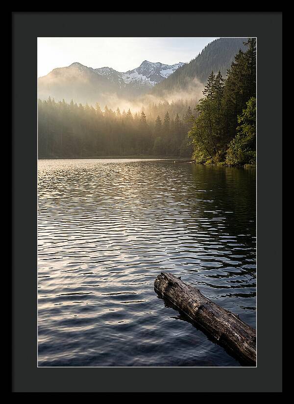 Peaceful Ripples Over Water