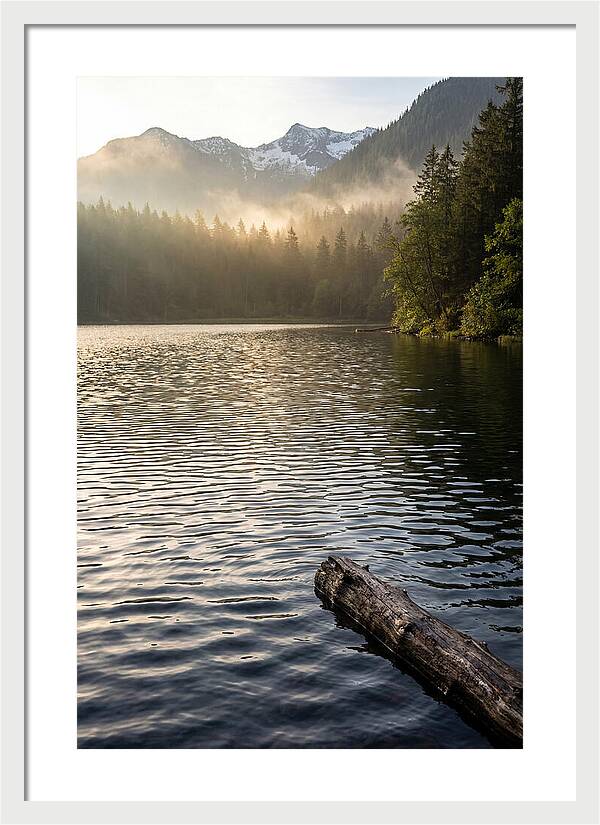 Peaceful Ripples Over Water