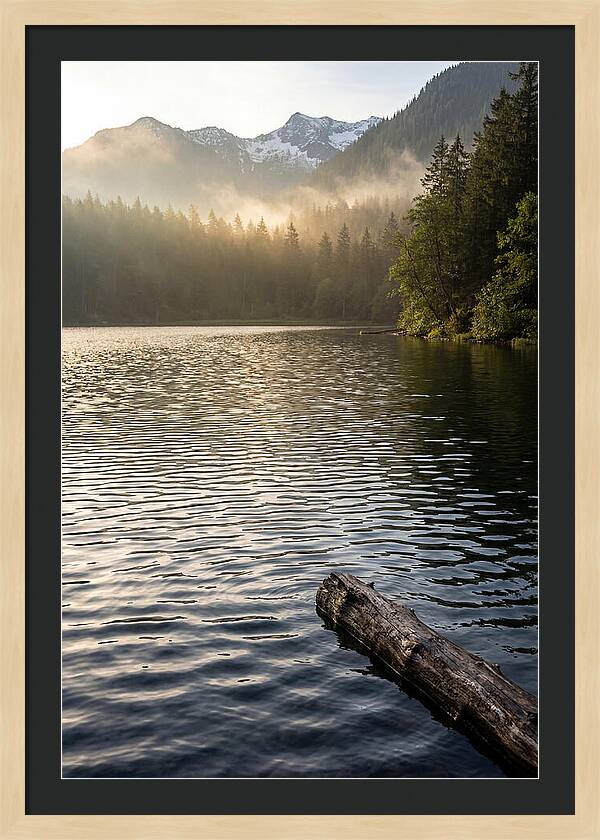 Peaceful Ripples Over Water