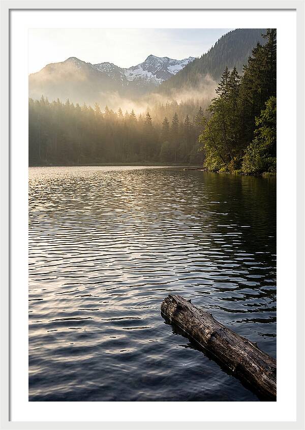 Peaceful Ripples Over Water