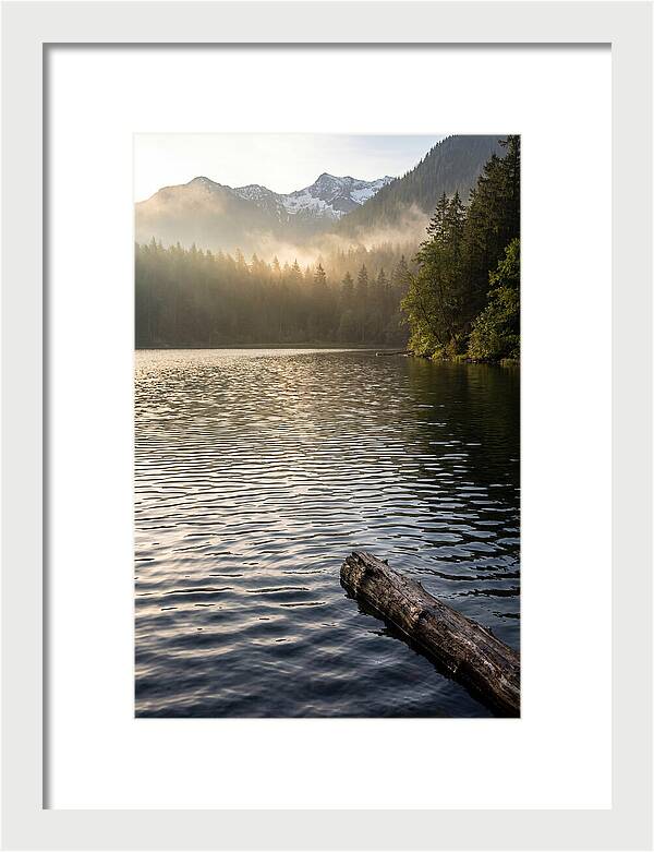Peaceful Ripples Over Water
