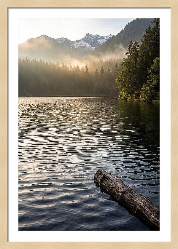 Peaceful Ripples Over Water