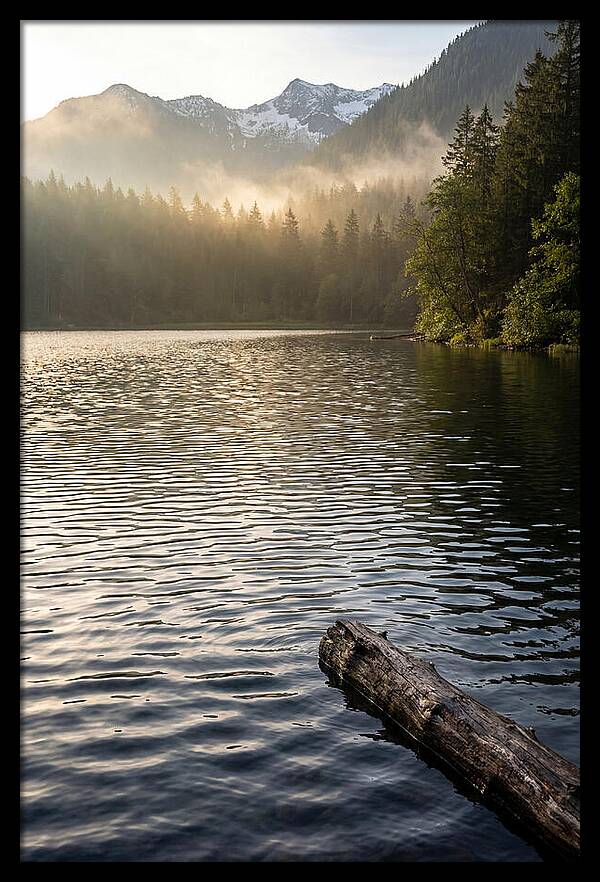 Peaceful Ripples Over Water