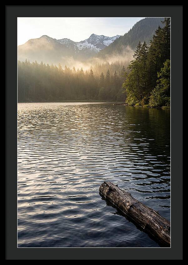 Peaceful Ripples Over Water