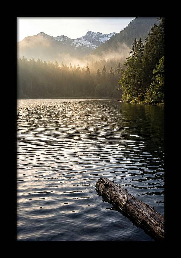 Peaceful Ripples Over Water
