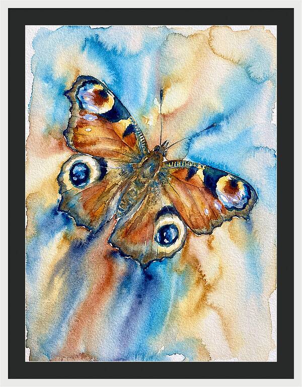 Peacock Butterfly Watercolor