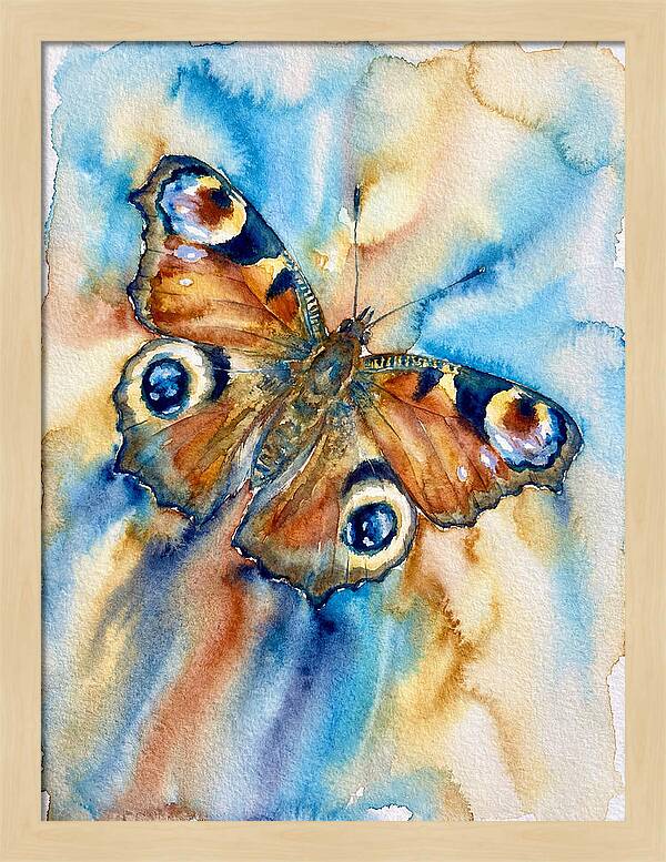 Peacock Butterfly Watercolor