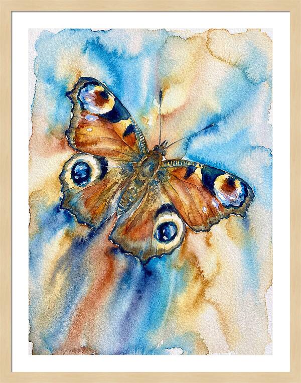 Peacock Butterfly Watercolor