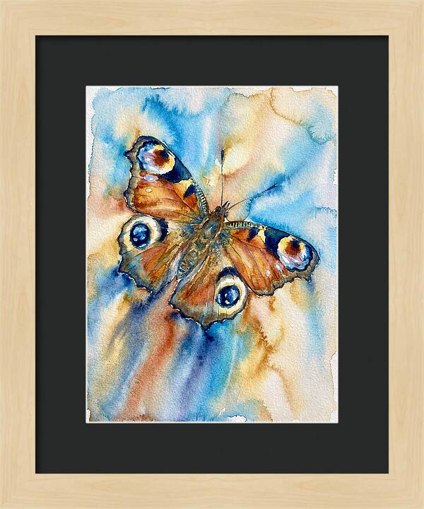 Peacock Butterfly Watercolor