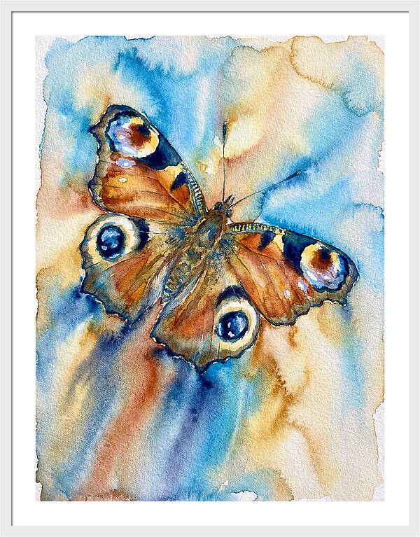 Peacock Butterfly Watercolor