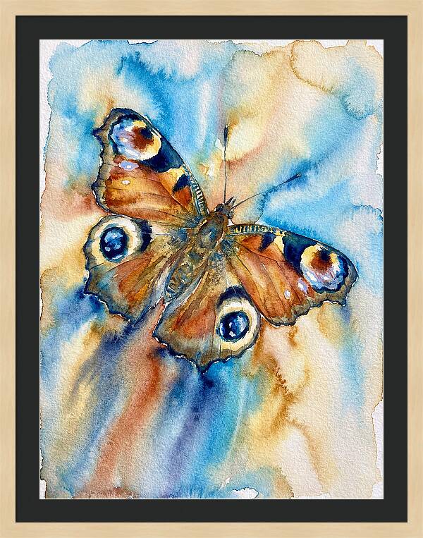 Peacock Butterfly Watercolor