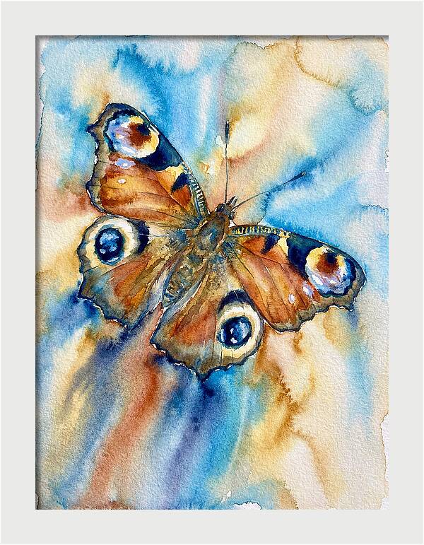 Peacock Butterfly Watercolor