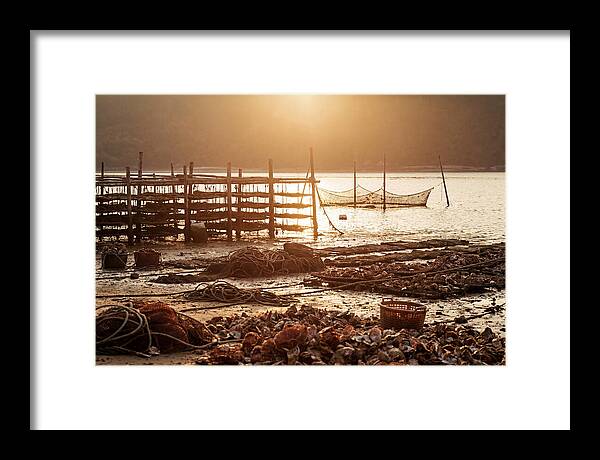 Pearl Farm Harvest At Dusk