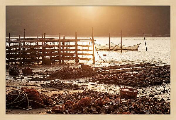 Pearl Farm Harvest At Dusk