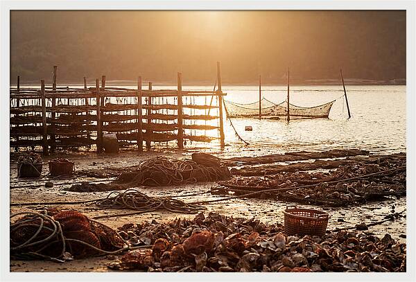 Pearl Farm Harvest At Dusk