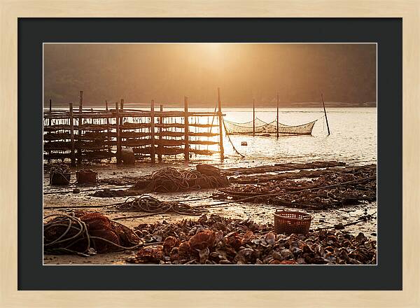 Pearl Farm Harvest At Dusk