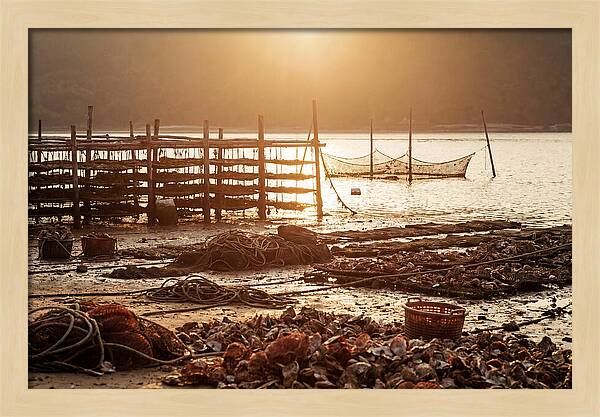 Pearl Farm Harvest At Dusk