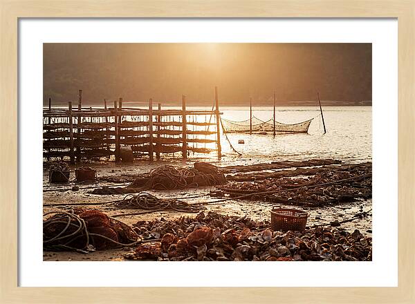 Pearl Farm Harvest At Dusk