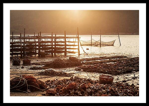 Pearl Farm Harvest At Dusk