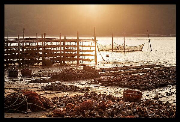 Pearl Farm Harvest At Dusk