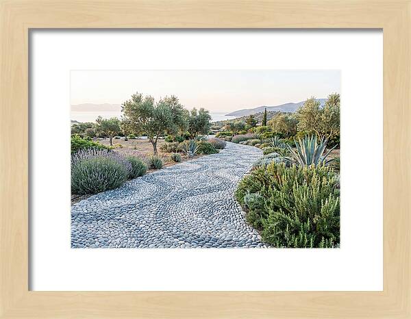 Pebble Mosaic Pathway Through Nature