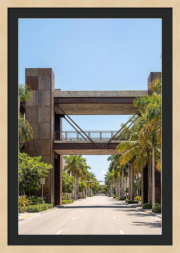 Pedestrian Bridge Over City Street