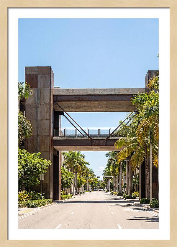 Pedestrian Bridge Over City Street