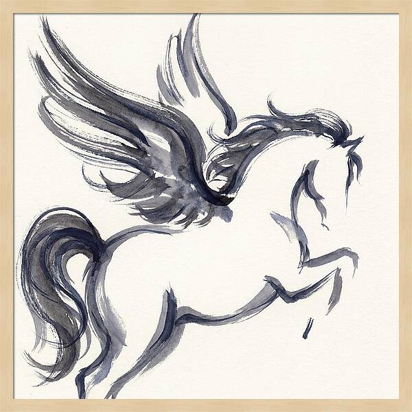Pegasus In Flight