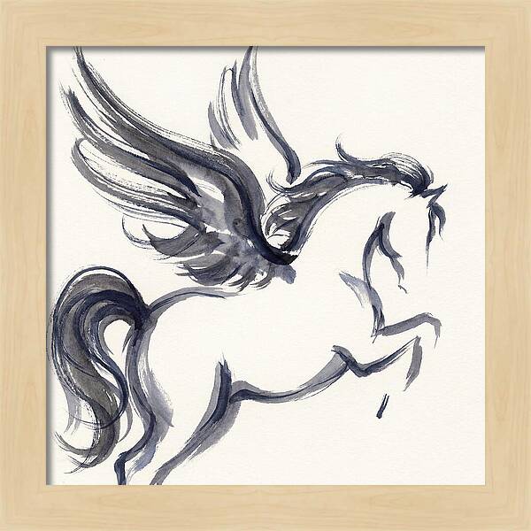 Pegasus In Flight