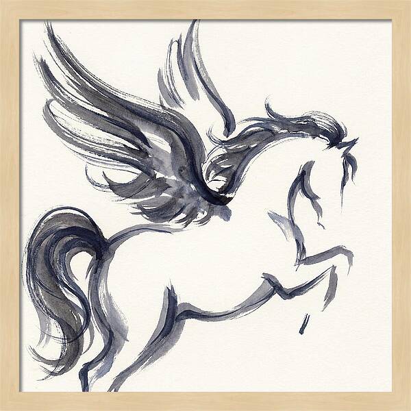 Pegasus In Flight