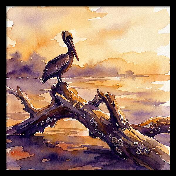 Pelican At Sunset