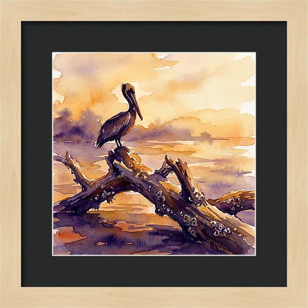 Pelican At Sunset