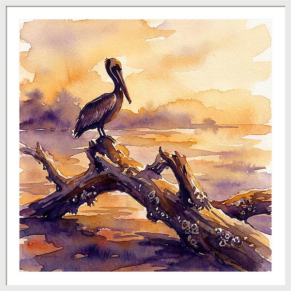 Pelican At Sunset