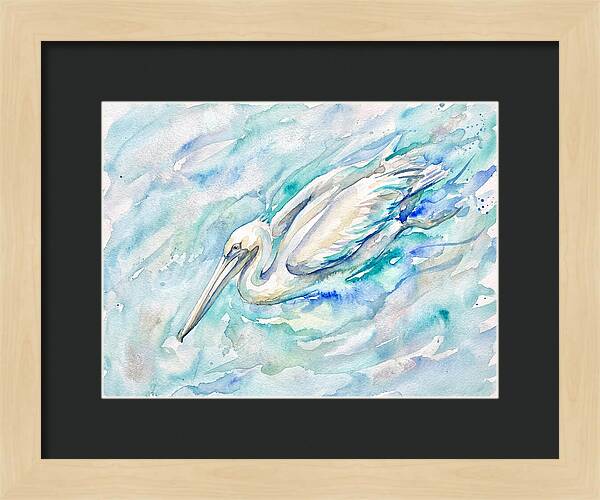 Pelican Gliding Through Water