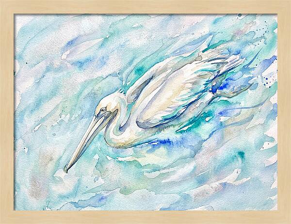 Pelican Gliding Through Water