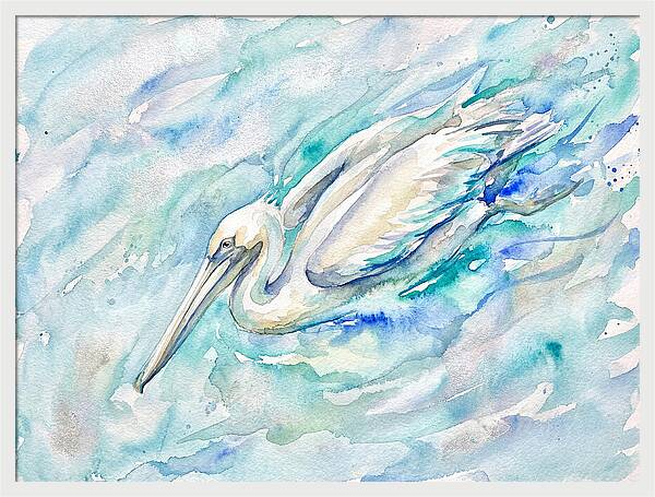 Pelican Gliding Through Water