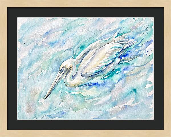 Pelican Gliding Through Water
