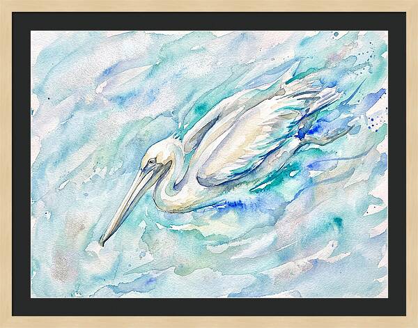 Pelican Gliding Through Water