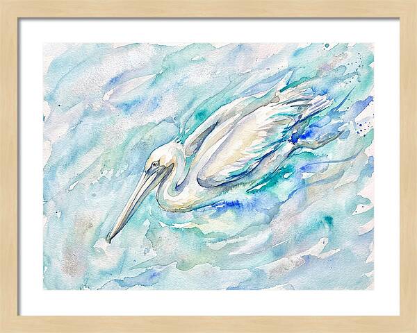 Pelican Gliding Through Water