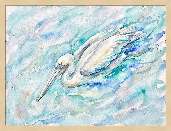 Pelican Gliding Through Water