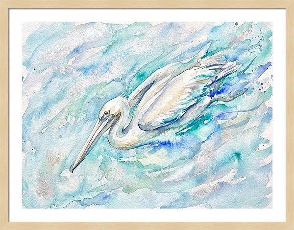 Pelican Gliding Through Water