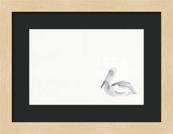 Pelican In Soft Hues