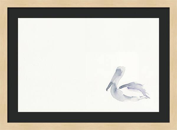 Pelican In Soft Hues