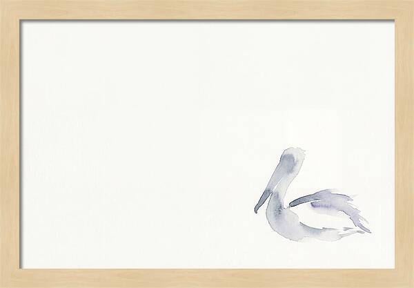 Pelican In Soft Hues