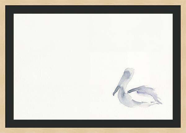 Pelican In Soft Hues