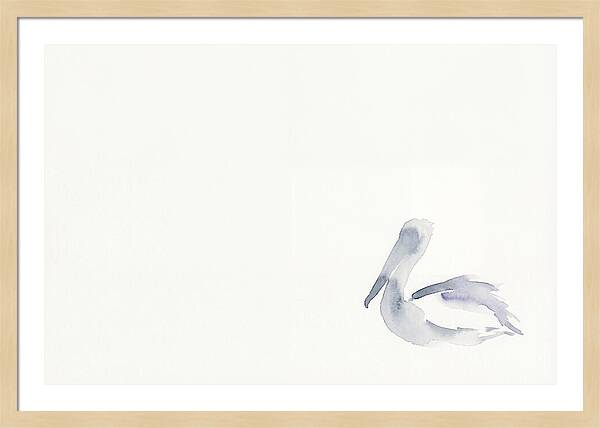 Pelican In Soft Hues